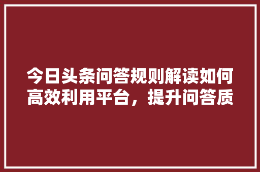 今日头条问答规则解读如何高效利用平台，提升问答质量
