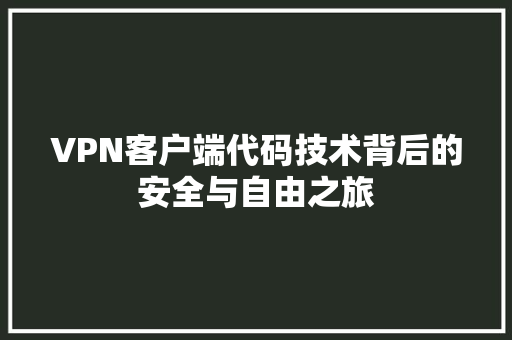 VPN客户端代码技术背后的安全与自由之旅