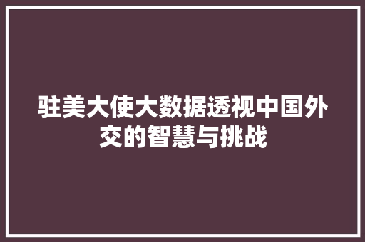 驻美大使大数据透视中国外交的智慧与挑战