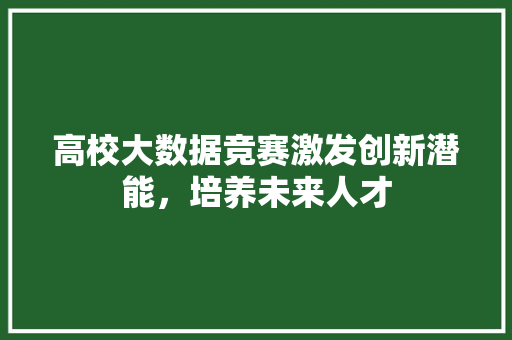 高校大数据竞赛激发创新潜能，培养未来人才 缓存Redis