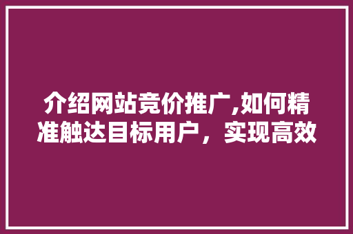 介绍网站竞价推广,如何精准触达目标用户，实现高效转化 商务信函