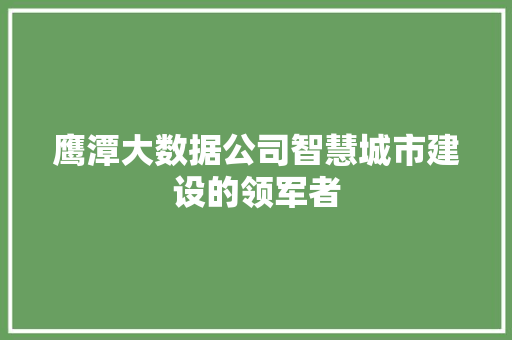 鹰潭大数据公司智慧城市建设的领军者 缓存Redis