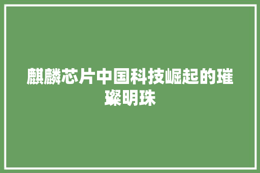 麒麟芯片中国科技崛起的璀璨明珠