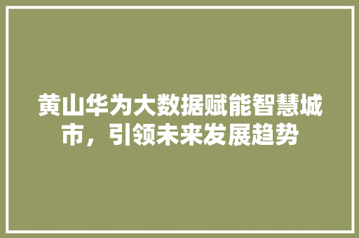 黄山华为大数据赋能智慧城市，引领未来发展趋势