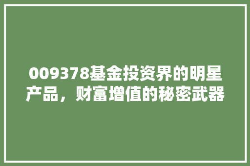 009378基金投资界的明星产品，财富增值的秘密武器