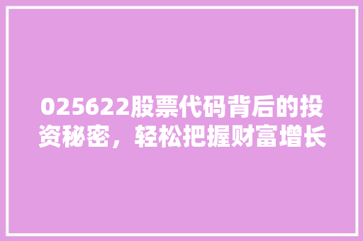 025622股票代码背后的投资秘密，轻松把握财富增长