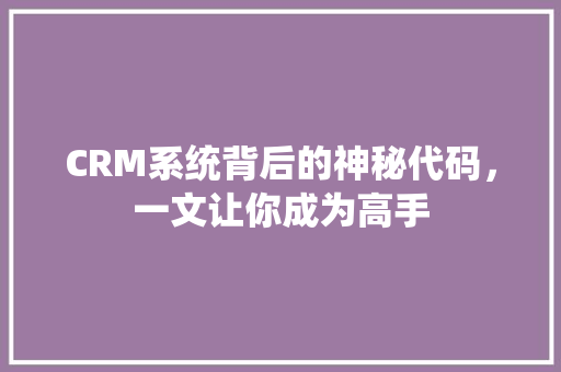 CRM系统背后的神秘代码，一文让你成为高手