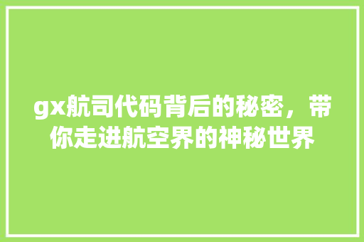 gx航司代码背后的秘密，带你走进航空界的神秘世界
