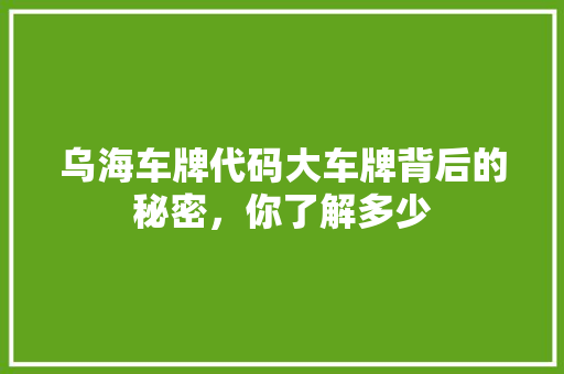 乌海车牌代码大车牌背后的秘密，你了解多少