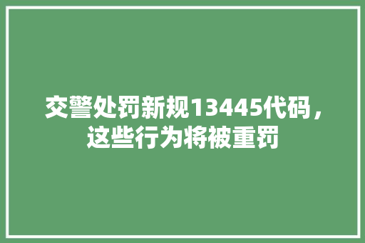 交警处罚新规13445代码，这些行为将被重罚