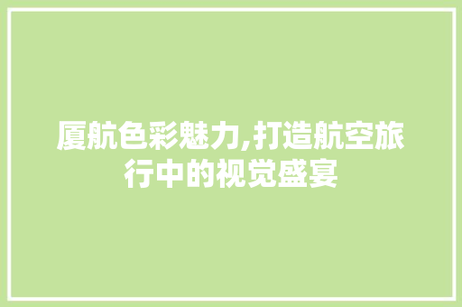 厦航色彩魅力,打造航空旅行中的视觉盛宴