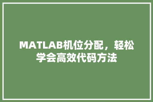 MATLAB机位分配，轻松学会高效代码方法