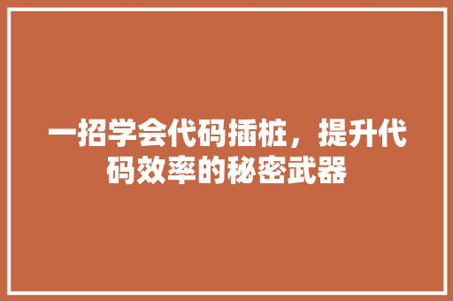 一招学会代码插桩，提升代码效率的秘密武器