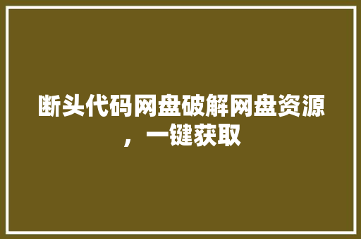 断头代码网盘破解网盘资源，一键获取
