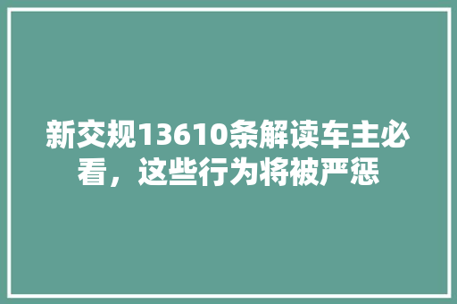 新交规13610条解读车主必看，这些行为将被严惩