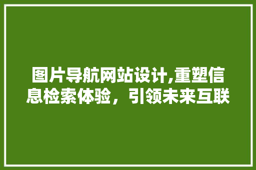 图片导航网站设计,重塑信息检索体验，引领未来互联网潮流