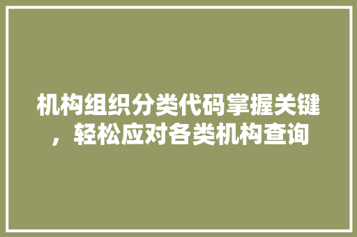 机构组织分类代码掌握关键，轻松应对各类机构查询