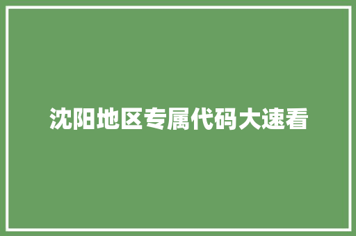 沈阳地区专属代码大速看