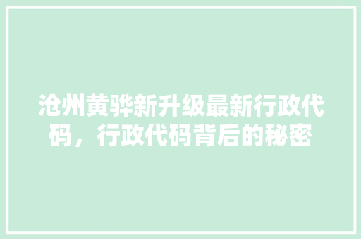 沧州黄骅新升级最新行政代码，行政代码背后的秘密
