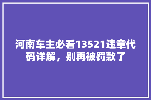 河南车主必看13521违章代码详解，别再被罚款了