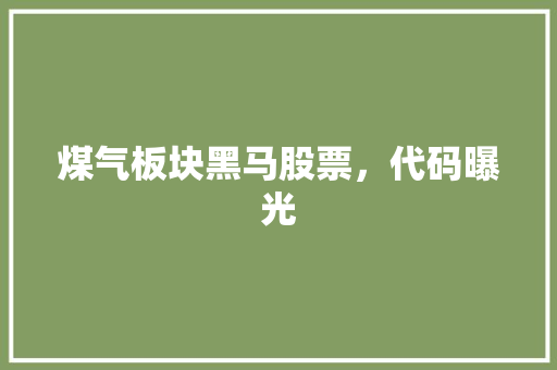 煤气板块黑马股票，代码曝光