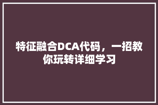 特征融合DCA代码，一招教你玩转详细学习