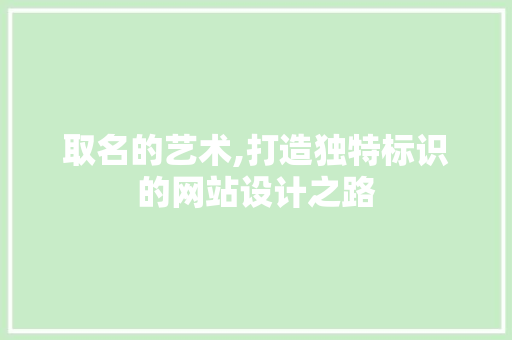 取名的艺术,打造独特标识的网站设计之路