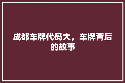 成都车牌代码大，车牌背后的故事