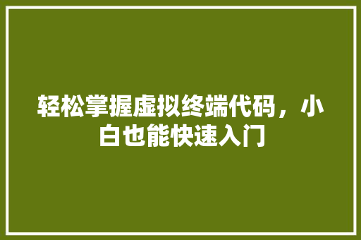 轻松掌握虚拟终端代码，小白也能快速入门