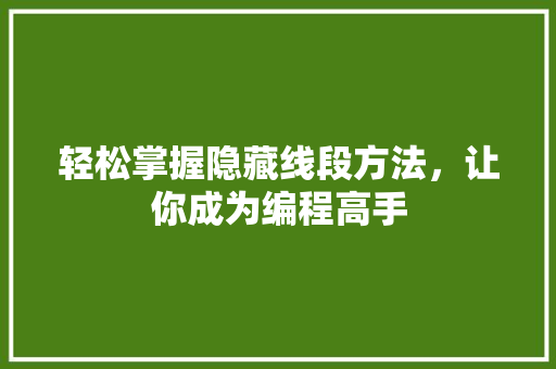 轻松掌握隐藏线段方法，让你成为编程高手