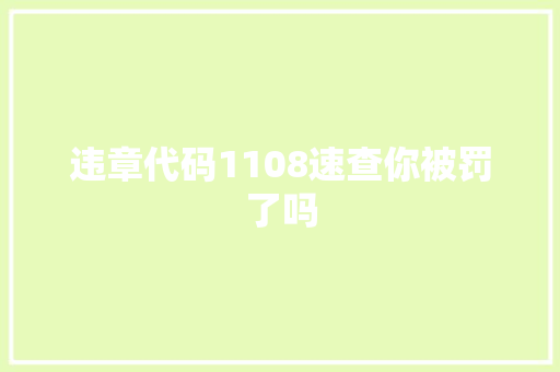 违章代码1108速查你被罚了吗
