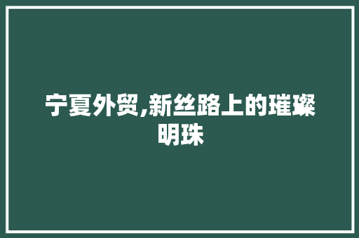 宁夏外贸,新丝路上的璀璨明珠