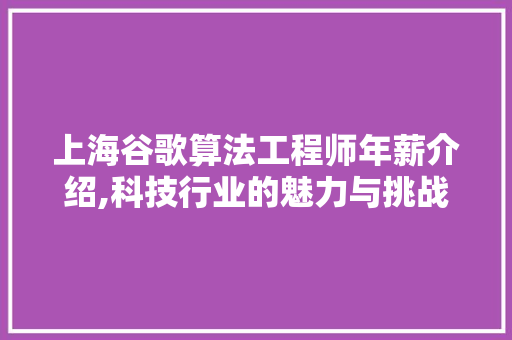 上海谷歌算法工程师年薪介绍,科技行业的魅力与挑战并存