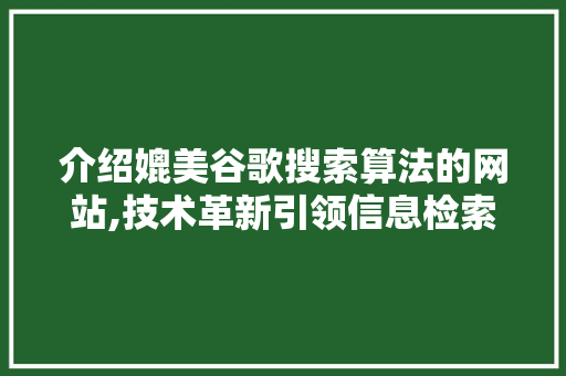 介绍媲美谷歌搜索算法的网站,技术革新引领信息检索新篇章