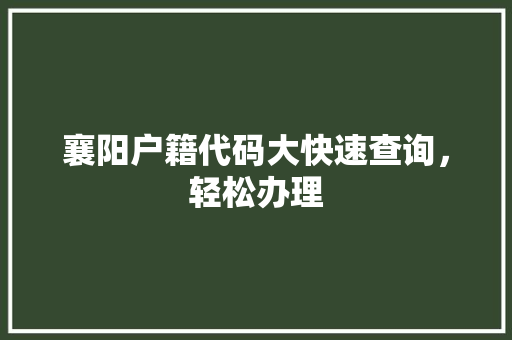 襄阳户籍代码大快速查询，轻松办理
