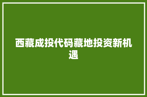 西藏成投代码藏地投资新机遇