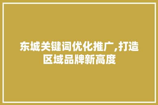 东城关键词优化推广,打造区域品牌新高度