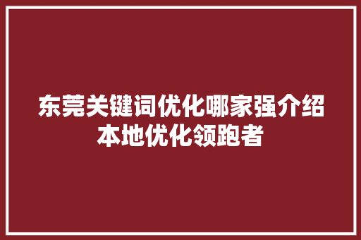 东莞关键词优化哪家强介绍本地优化领跑者