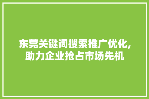 东莞关键词搜索推广优化,助力企业抢占市场先机