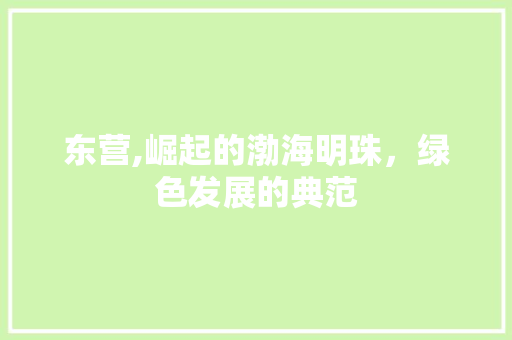 东营,崛起的渤海明珠，绿色发展的典范