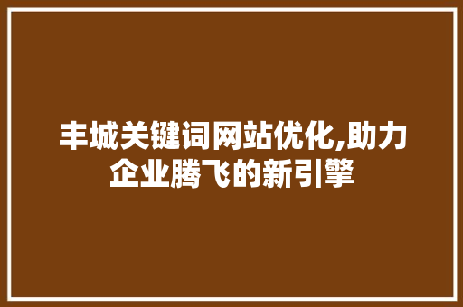 丰城关键词网站优化,助力企业腾飞的新引擎