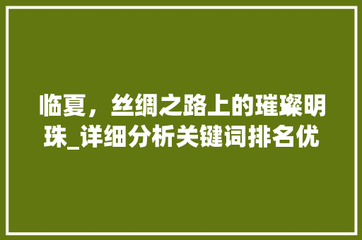 临夏，丝绸之路上的璀璨明珠_详细分析关键词排名优化步骤