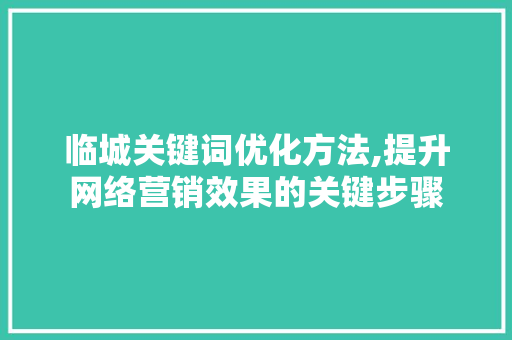 临城关键词优化方法,提升网络营销效果的关键步骤