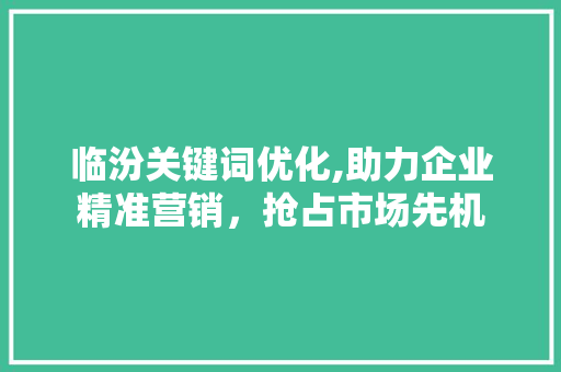 临汾关键词优化,助力企业精准营销，抢占市场先机
