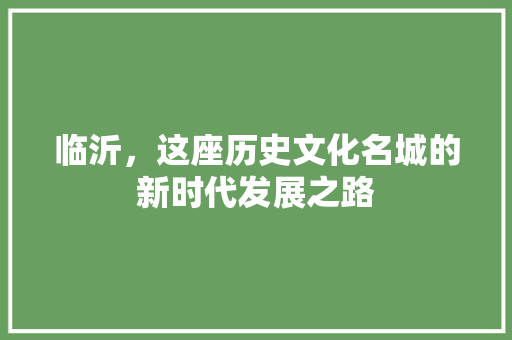 临沂，这座历史文化名城的新时代发展之路