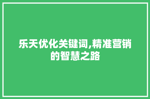 乐天优化关键词,精准营销的智慧之路