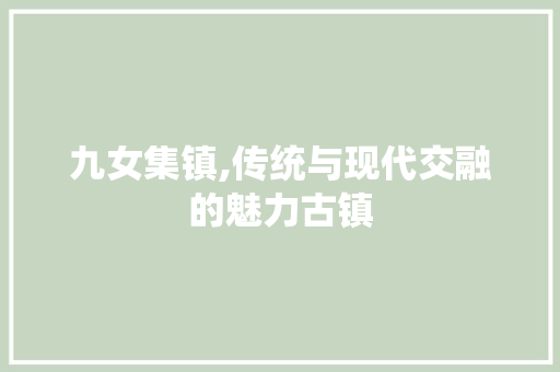 九女集镇,传统与现代交融的魅力古镇