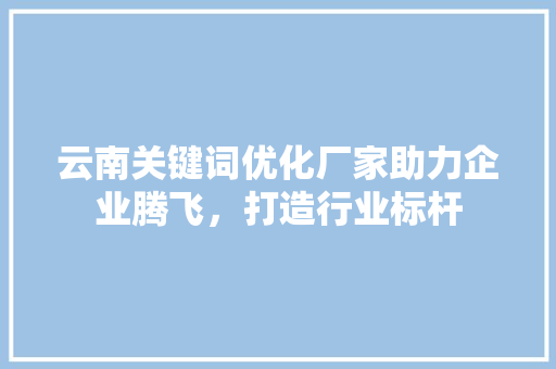 云南关键词优化厂家助力企业腾飞，打造行业标杆
