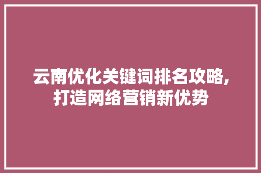 云南优化关键词排名攻略,打造网络营销新优势