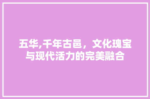 五华,千年古邑，文化瑰宝与现代活力的完美融合